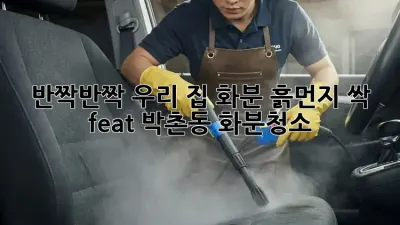 ✨반짝반짝✨ 우리 집 화분, 흙먼지 싹! (feat. 박촌동) #화분청소
